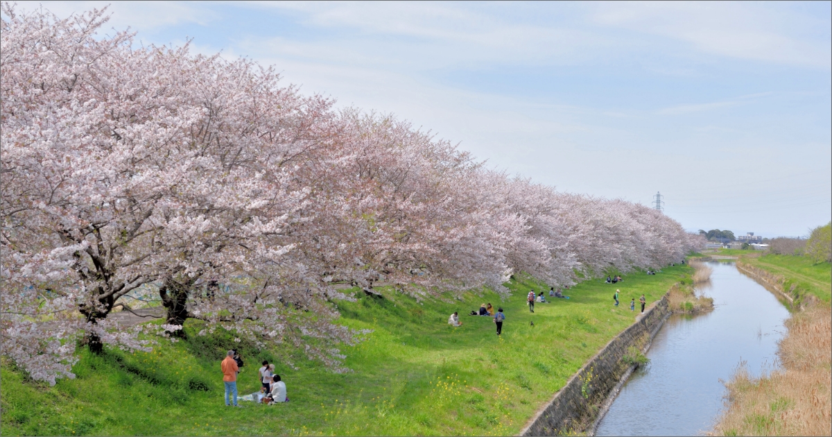 神栖市の春の観光スポット・イベント7選