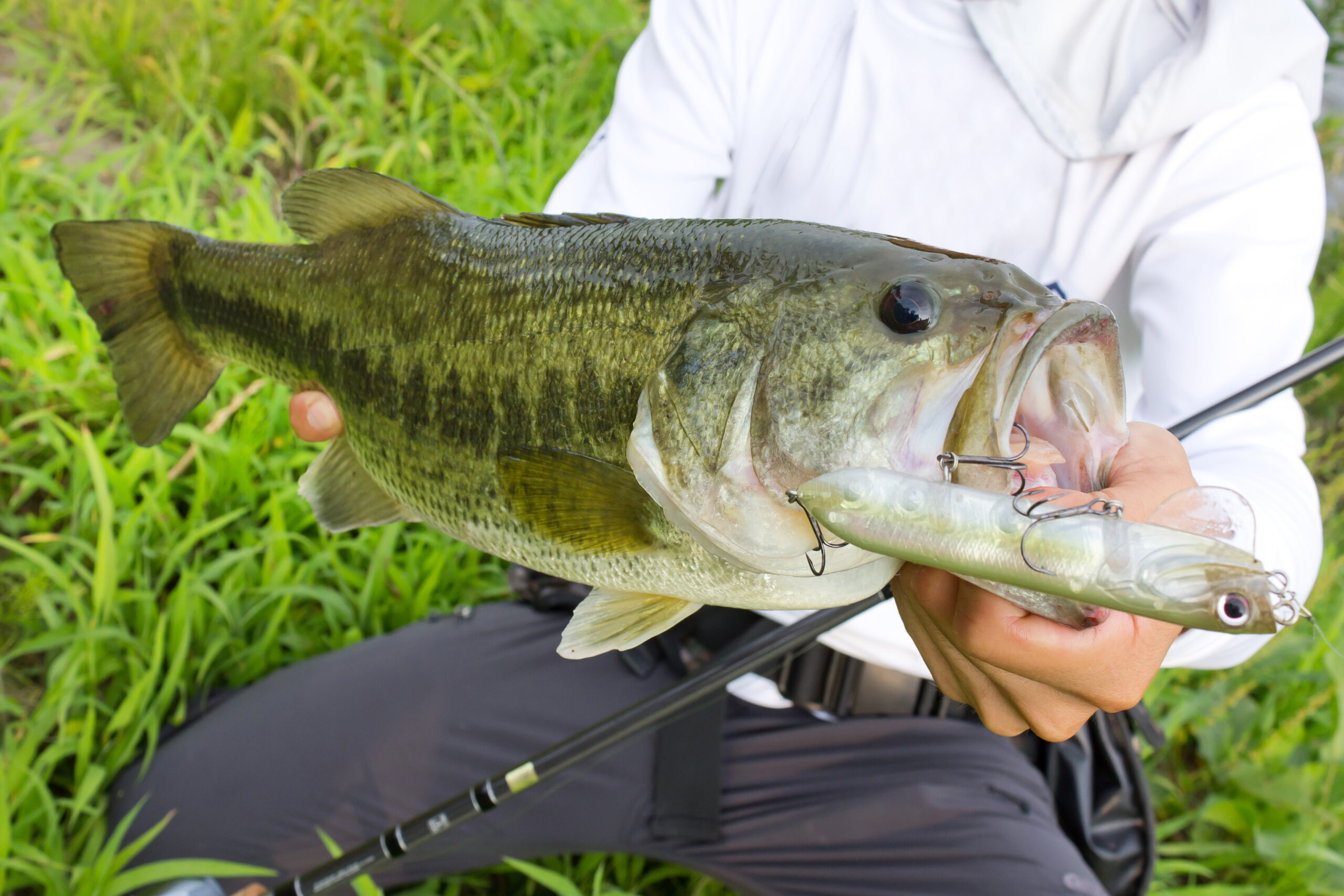 潮来市の釣りスポット選！ビギナーも釣りやすい淡水魚釣りは密かなブーム